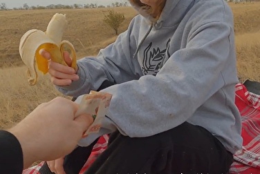 Il a payé 5 000 et il peut faire ce qu'il veut avec ce bébé